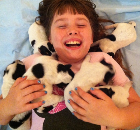 Carrie's Puppies