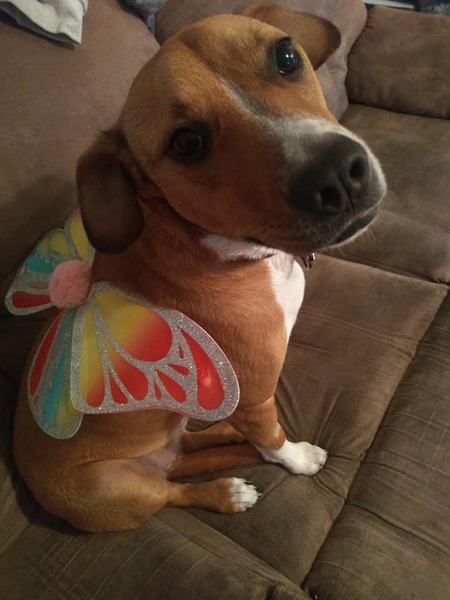 Rosie