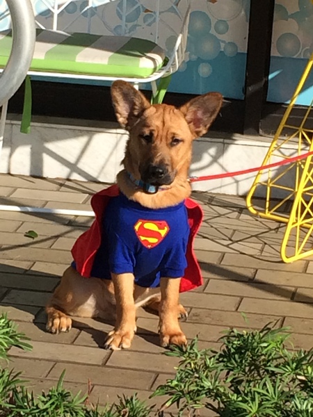 Zeus