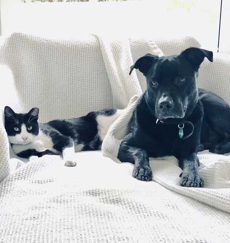 Watson & Charlie