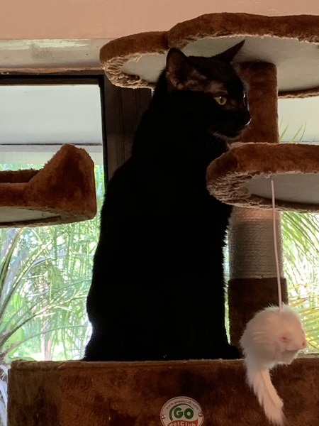Saylee ( formerly (Salem)