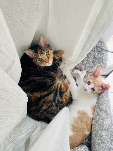Gaia & Charlie