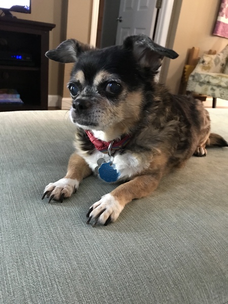 Molly