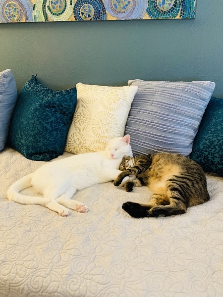 Timmy and Ella