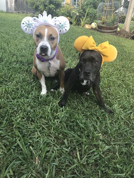 Alexa and Bessie