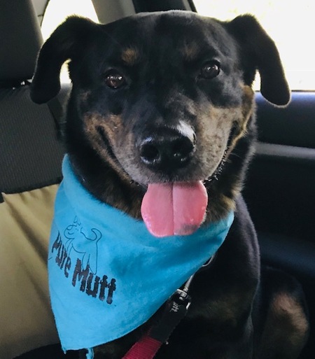 Scooby