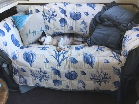 Zoe