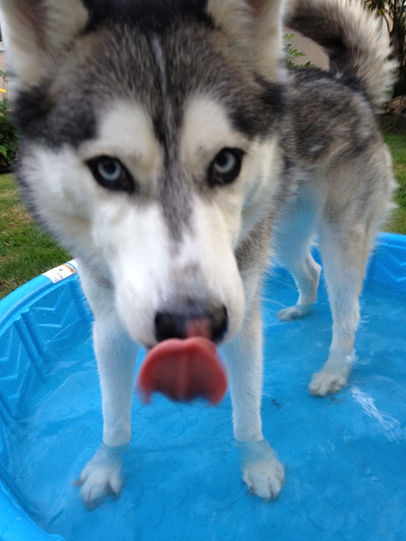 Tyson