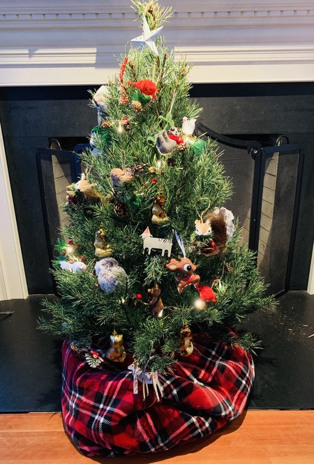 Joy to the World