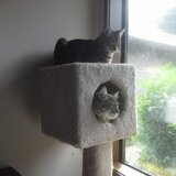 Entry image for Powell and Rain