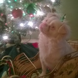 Entry image for Casper