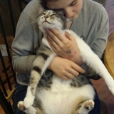 Entry image for King Triton