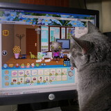 Entry image for Velvet