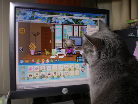 Entry image for Velvet. Clicking this image will show a larger photo