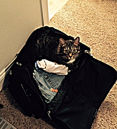 Entry image for Spencer. Clicking this image will show a larger photo