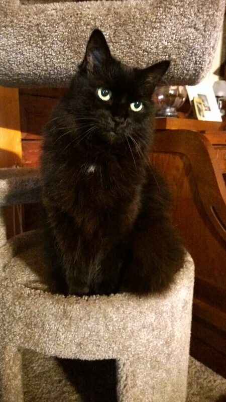 Princess Poofy Pants
