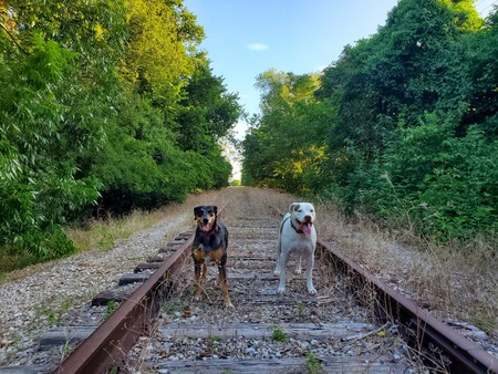 Abi and Kai