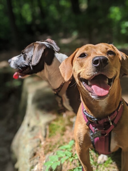 Tess & Lilly