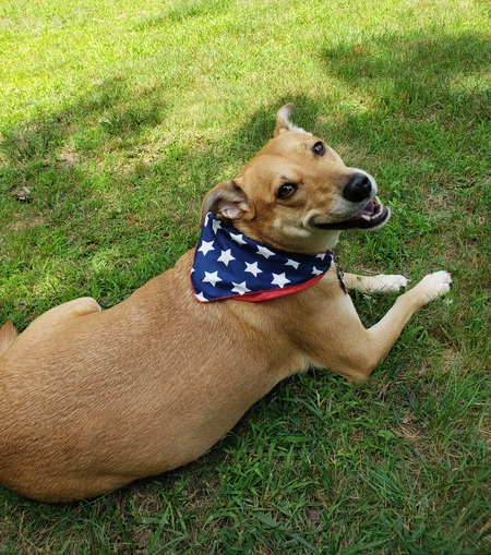 Gracie May