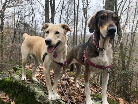 Nika and Wella