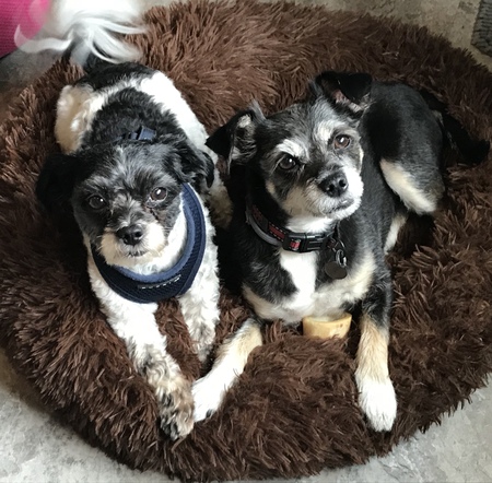 Abby and Benny