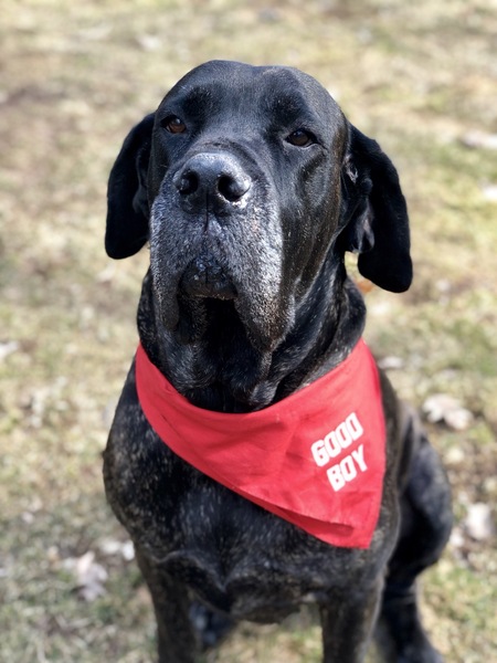 Zeus