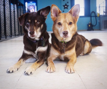 Myra & Zeus