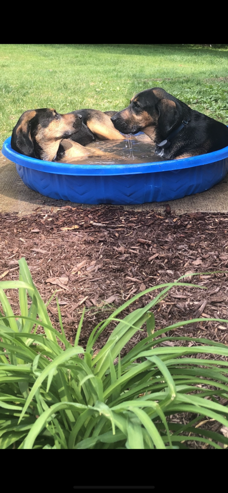Duke & Jerry 
