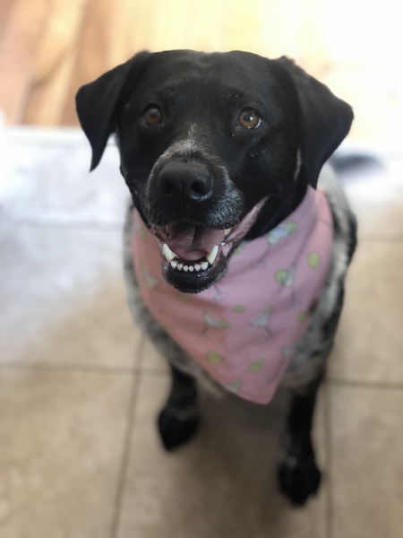 Lily 