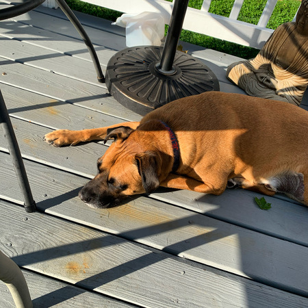 Jethro 