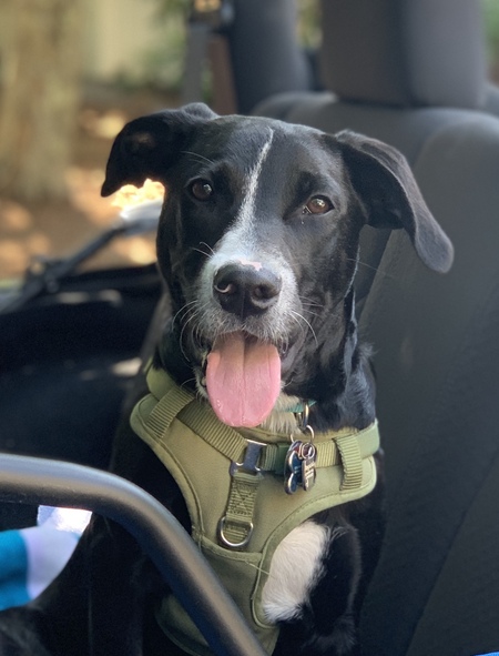 Cooper