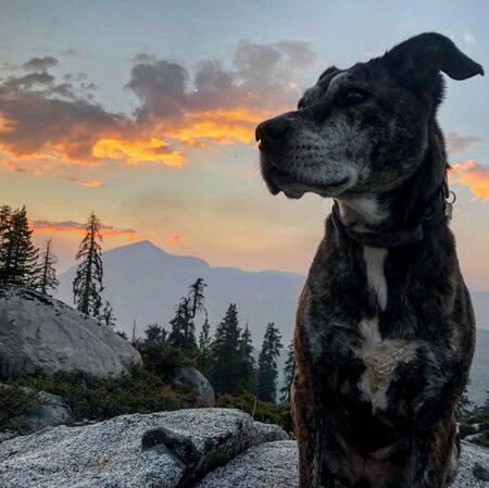 Juno