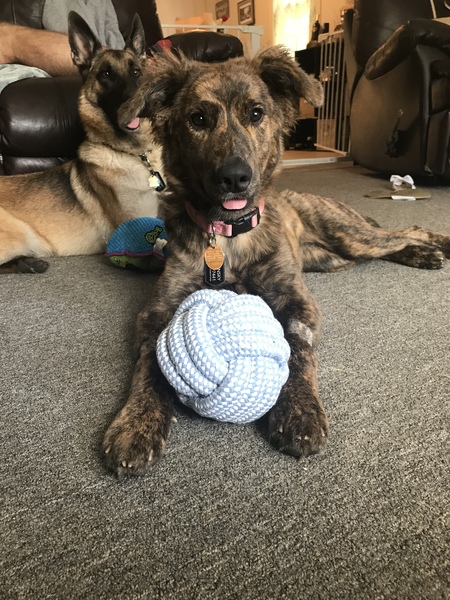 Rosita 