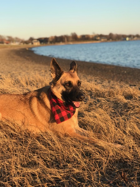 Gigi
