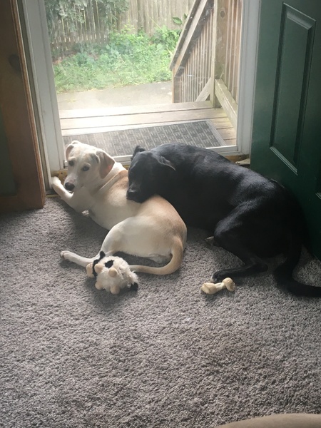 Jenny & Henry