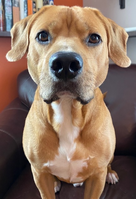 Ernie