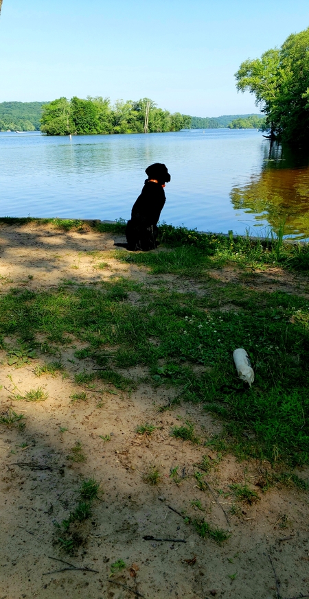Elwood