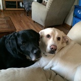 Entry image for SOPHIA & JACKSON