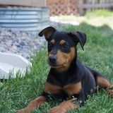 Entry image for Maggie