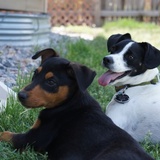 Entry image for Ronnie and Maggie