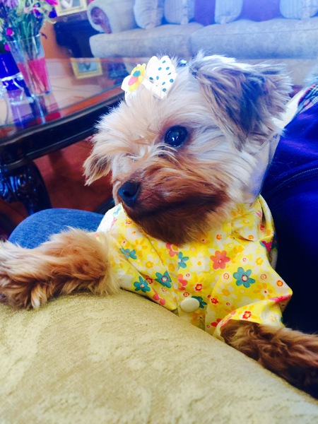 Entry image for Bonita. Clicking this image will show a larger photo