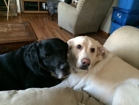 Entry image for SOPHIA & JACKSON. Clicking this image will show a larger photo