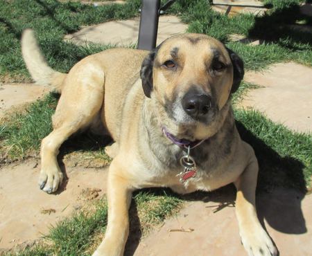 Entry image for Gracey. Clicking this image will show a larger photo