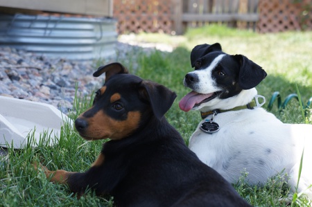 Entry image for Ronnie and Maggie. Clicking this image will show a larger photo