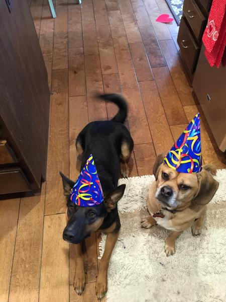 Entry image for Sorcha (and Jackson). Clicking this image will show a larger photo