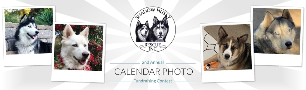 Banner for Shadow Husky Rescue: 2nd  Annual Calendar Photo Fundraising Contest