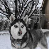 Entry image for Alaska