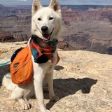 Entry image for Casper 