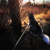Entry image for Hunter 
