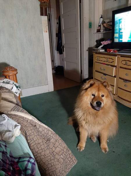 Entry image for Cici. Clicking this image will show a larger photo